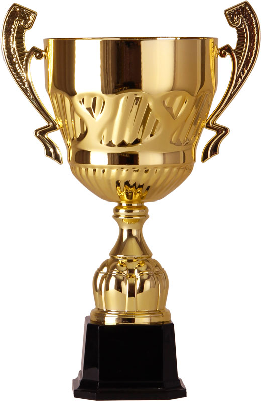 Кубок 2007D (45 см) D-200 Кубок 2007D (45 см) D-200