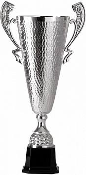 Кубок 2003A (63,5 см) D-200