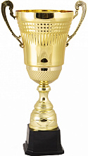 Кубок 2009E (40см) D-160 Кубок 2009E (40см) D-160