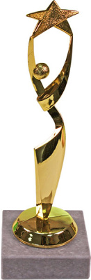 ФП Звезда 20см 5071-G+WM6320