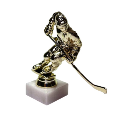 ФП Хоккей  F182/G+WM5020 (B335/G)12см