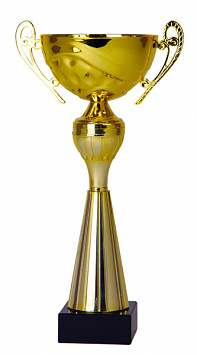 Кубок 7674C (25 см) D-80