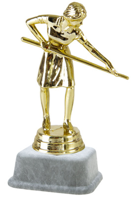 ФП Бильярд 10,2см 8343-1+МР6220