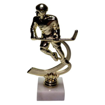 ФП Хоккей  F226/G +WM5020 15 см