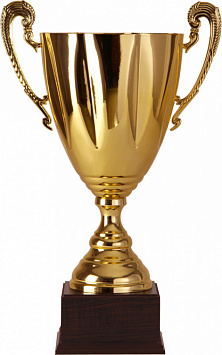 Кубок 2510D (48 см) D-200