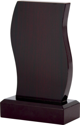 Награда деревянная 160х100х50мм WT176