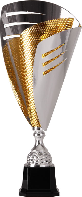 Кубок 2002D (47 см) Кубок 2002D (47 см)