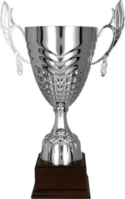 Кубок 3122A (53.5 см) D-200