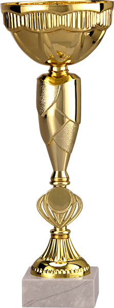 Кубок 9026D (25.5 см) D-80 Кубок 9026D (25.5 см) D-80