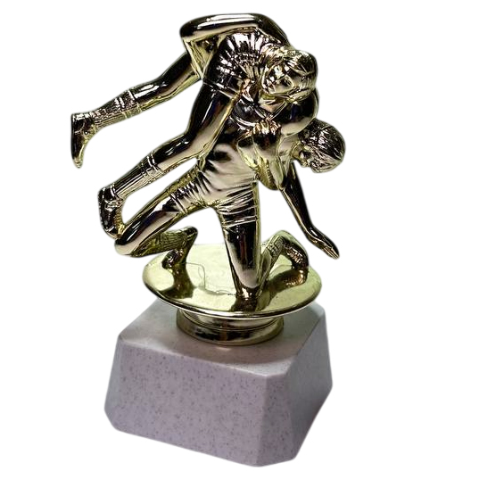 ФП Борьба 8070-1+WP763-2 10,8см