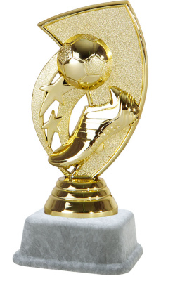 ФП Футбол RSP363/G(B363/G0+MP6220