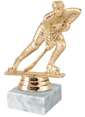 ФП Хоккей 8050-1+WM5020 9,5см