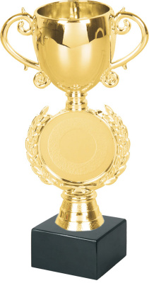 ФП Кубок 13138/G+BMX5030 15.5см