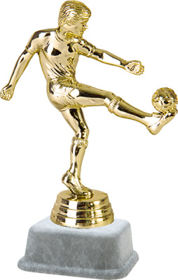 ФП Футбол 8276-1 12,7см+МР6220