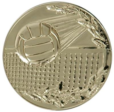 Жетон Волейбол (д.25) В16