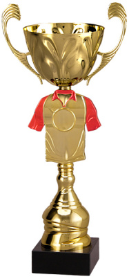 Кубок 4109E (34 см) D-100