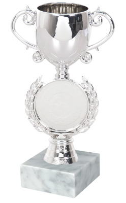 ФП Кубок 13138/S+WM5030 15.5см