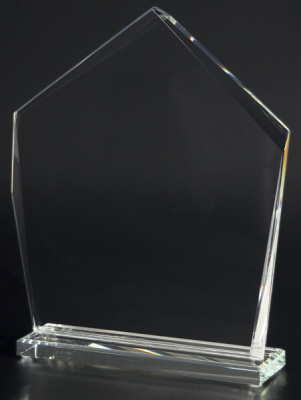 80692/FP Награда ст. (20см) 