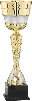 Кубок 4004D (30см) D-100