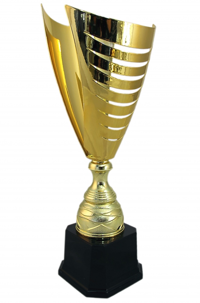 Кубок 2014B (50см) Кубок 2014B (50см)