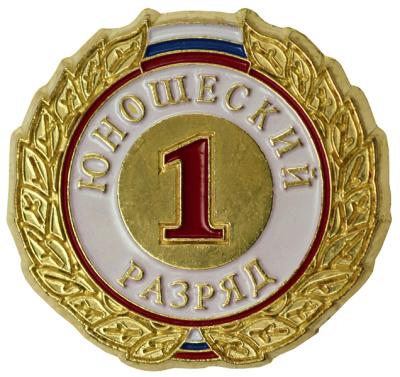 Значок I разряд юношеский ZRJ-I Значок I разряд юношеский ZRJ-I