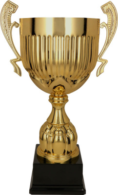 Кубок 2069B (54см) D-240