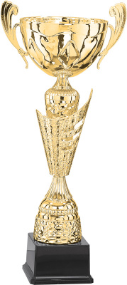 Кубок 4013C (37см) D-120