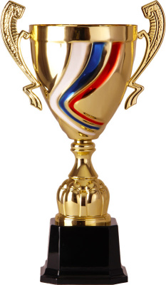 Кубок 2004C Триколор (45 см) D-180