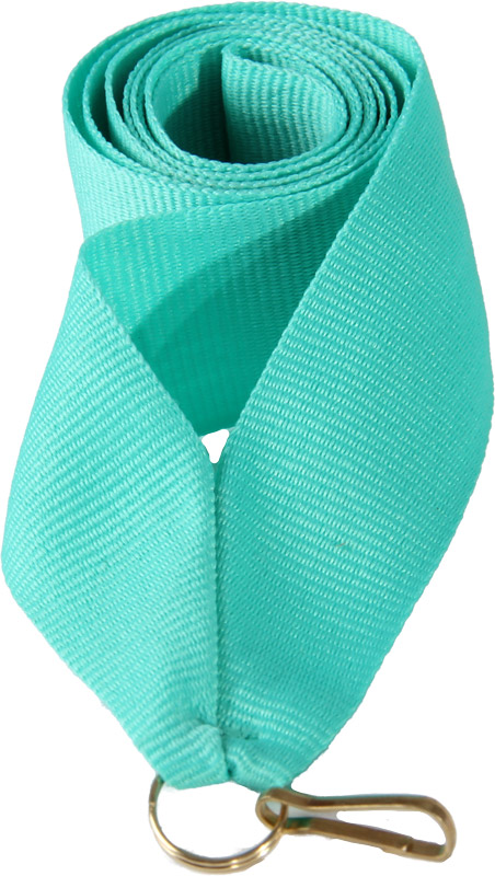 Лента (шир.11 мм) V8-MINT Лента (шир.11 мм) V8-MINT