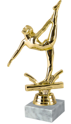 ФП  Гимнастика 8627-1+WM5020 15,9см