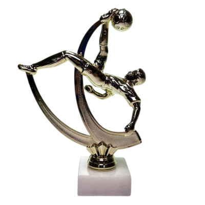 ФП Футбол F223/G+WM5020 15 см