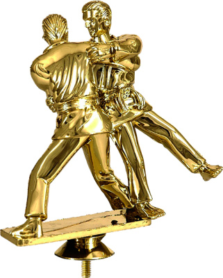 Фигурка пластиковая Дзюдо 15см F11/G (B255/G)