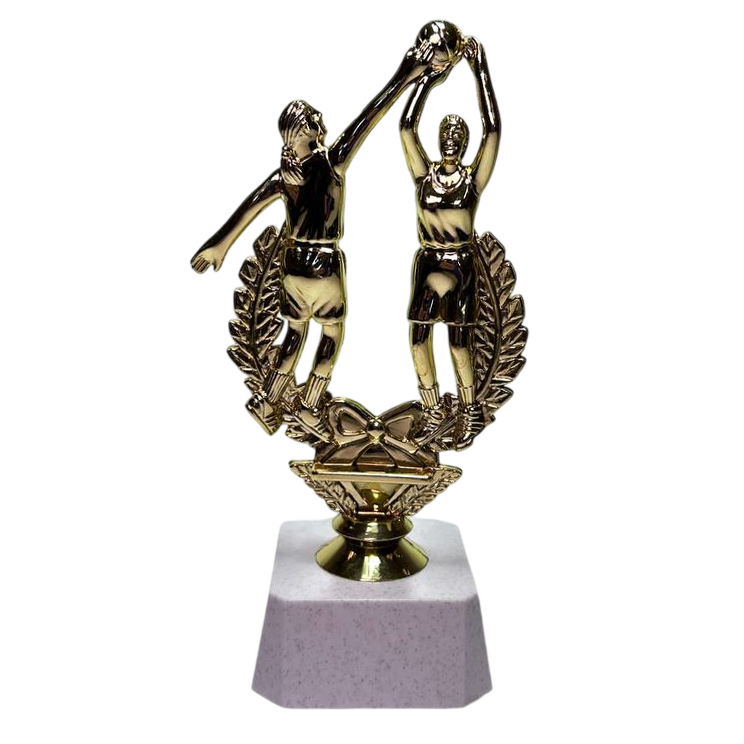 ФП Баскетбол ж. F88/G+WP763-2 16см