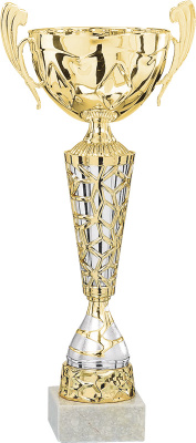 Кубок 4001E (30см) D-100