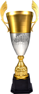 Кубок 3105A (62см) D-180