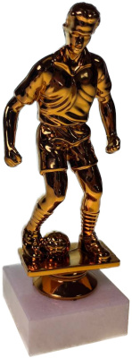 ФП Футбол 13см F24/B+WM5020 (B196/B)