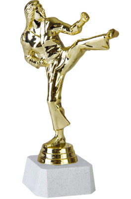 ФП Каратэ 8061-1+WP763-2