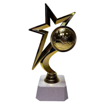 ФП Футбол F250/G+WP763-2 16.5см