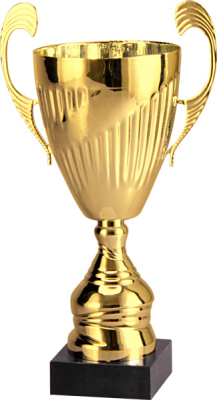 Кубок 7098E (26 см) D-100