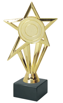 ФП Звезда 16,5см 13163/G+BMX5030