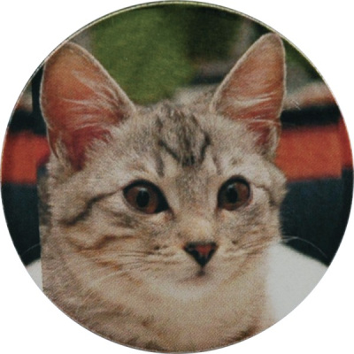Жетон цветной Кот (д.25) С15