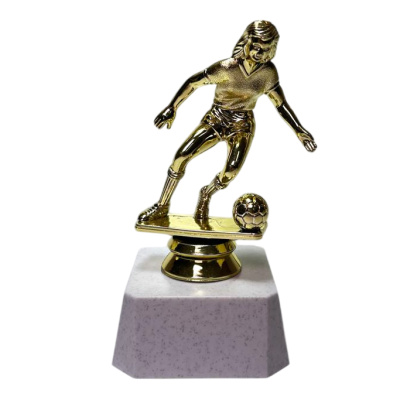 ФП Футбол ж. F166/G+WР763-2