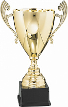 Кубок 3005C (39см) D-160