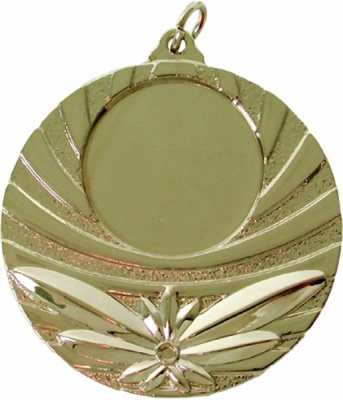 Медаль MD321/S 50(25)