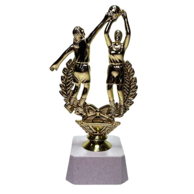 ФП Баскетбол ж. F88/G+WP763-2 16см