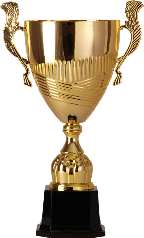 Кубок 2005C (49.5 см) D-200 Кубок 2005C (49.5 см) D-200