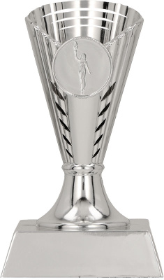 Кубок B352/S 13см