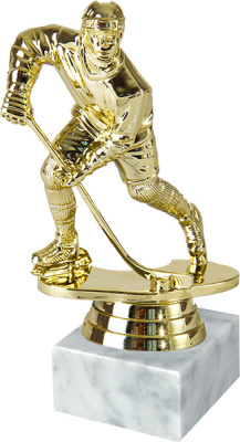 ФП Хоккей 8466-1+WM5030