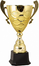 Кубок 2010E (42 см) D-160 Кубок 2010E (42 см) D-160