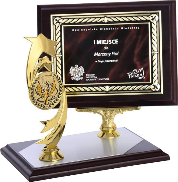 Диплом деревянный 200х150 (без фигурки) HG452/G Диплом деревянный 200х150 (без фигурки) HG452/G